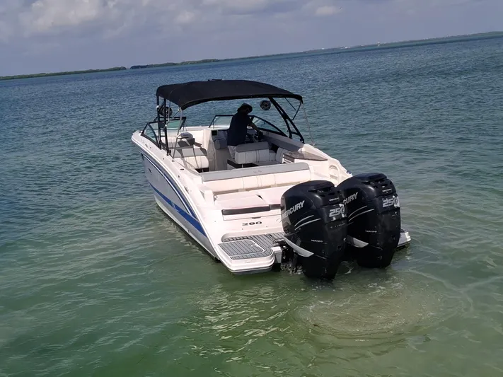 2016 Sea Ray 290 Sundeck Ob @ Cancun Yacht Photos Pics 