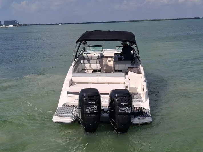 2016 Sea Ray 290 Sundeck Ob @ Cancun Yacht Photos Pics 