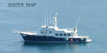 Bray Yacht Design Ocean Series Long Range Sportfisher