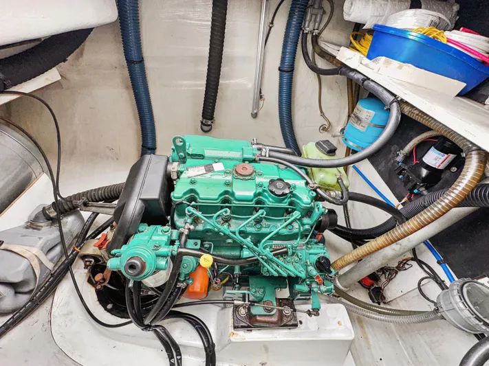 Starry Night Yacht Photos Pics 