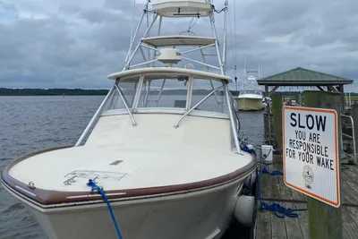 Custom Stardust 32 Express