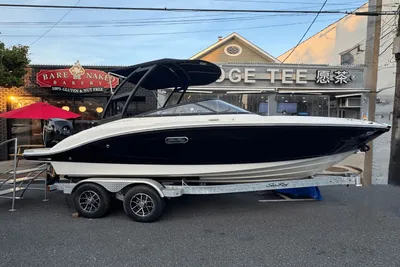 Sea Ray SPX 190 Outboard