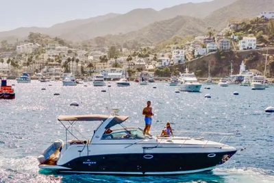 Rinker 320 Express Cruiser