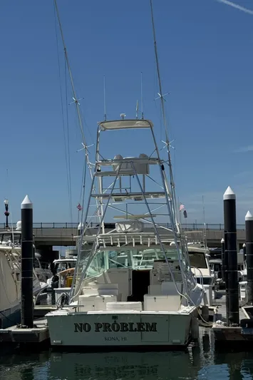 No Problem Yacht Photos Pics 1998 Cabo 35 Express boat docked at marina under clear blue sky.