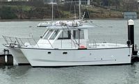 2020 Custom Catamaran