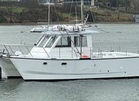 2020 Custom Catamaran