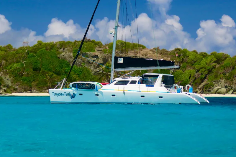 Turquoise Turtle Yacht Photos Pics Catamaran Voyage 500, 2001 model, anchored in turquoise waters near a lush island.