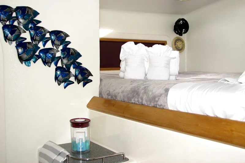 Turquoise Turtle Yacht Photos Pics Luxurious cabin interior of 2001 Voyage 500 yacht with elegant decor and plush bedding.