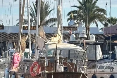1975 Endurance 35