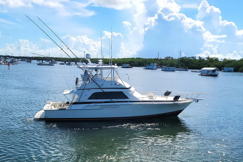 Trophy Hunter Yacht Photos Pics 1989 Bertram 50 Convertible yacht on calm water under a bright blue sky.