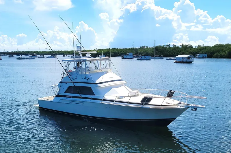 Trophy Hunter Yacht Photos Pics 1989 Bertram 50 Convertible yacht on calm water, surrounded by other boats and lush greenery.