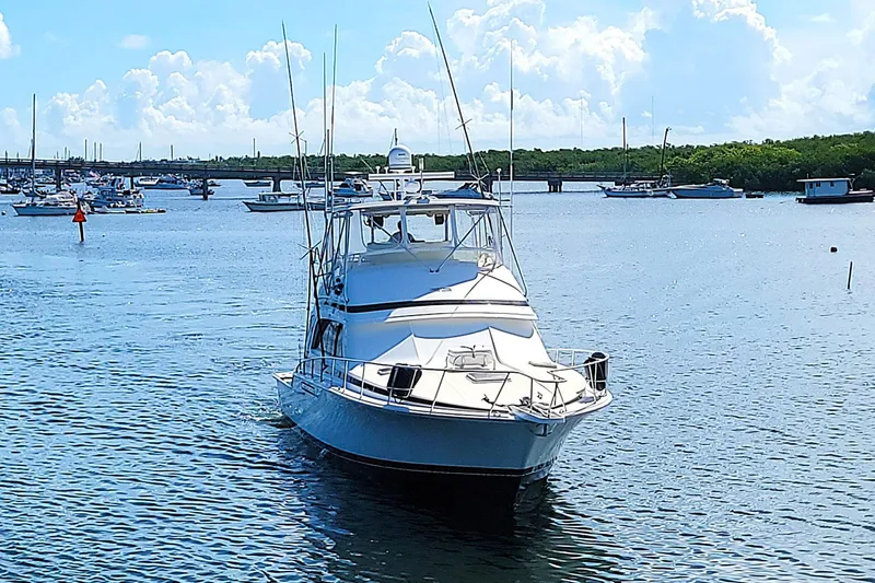 Trophy Hunter Yacht Photos Pics 1989 Bertram 50 Convertible yacht on calm water with a scenic marina backdrop.
