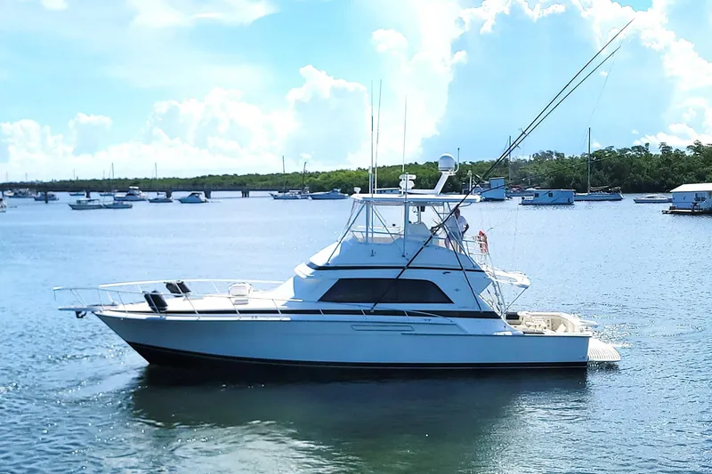 Trophy Hunter Yacht Photos Pics 1989 Bertram 50 Convertible yacht on calm water, clear sky background.
