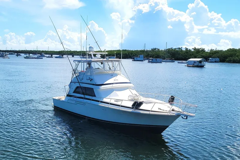 Trophy Hunter Yacht Photos Pics 1989 Bertram 50 Convertible yacht on calm water under a bright blue sky.