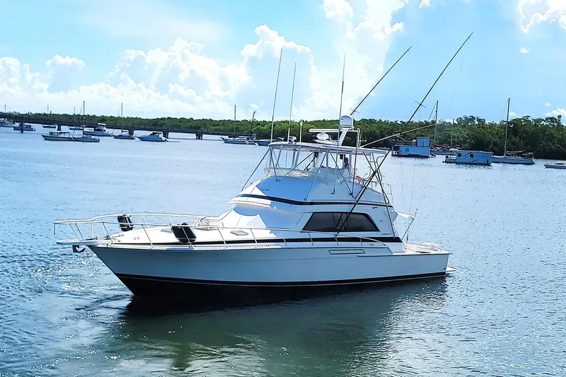 Trophy Hunter Yacht Photos Pics 1989 Bertram 50 Convertible yacht on calm water, surrounded by boats and blue sky.