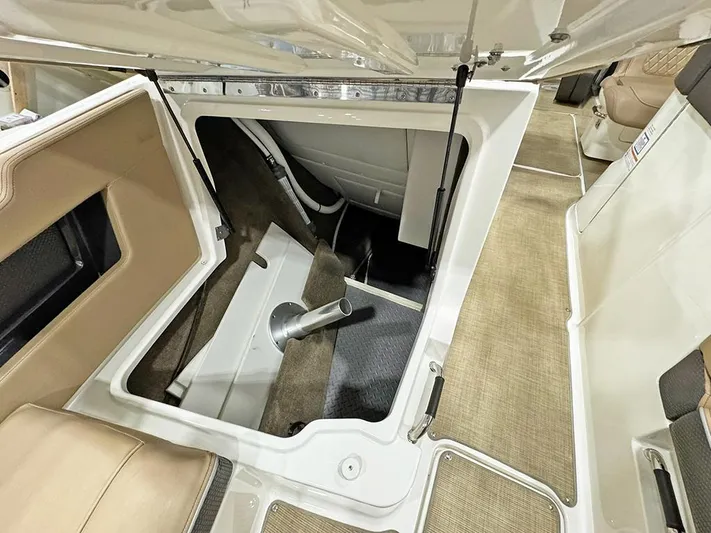  Yacht Photos Pics 2017 Sea Ray SLX 310 storage compartment with beige interior and carpeted flooring.