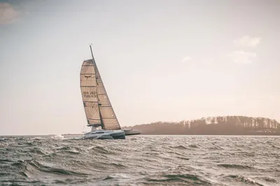 Dragonfly 28