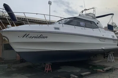 1990 Birchwood TS31