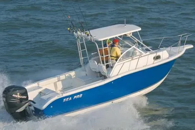 Sea Pro 238 Walk Around