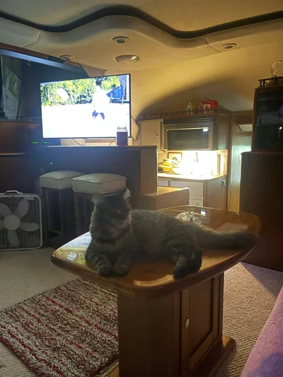 Hound Dog Yacht Photos Pics 