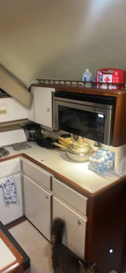 Hound Dog Yacht Photos Pics 