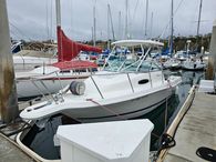 2000 Wellcraft 24 Walkaround