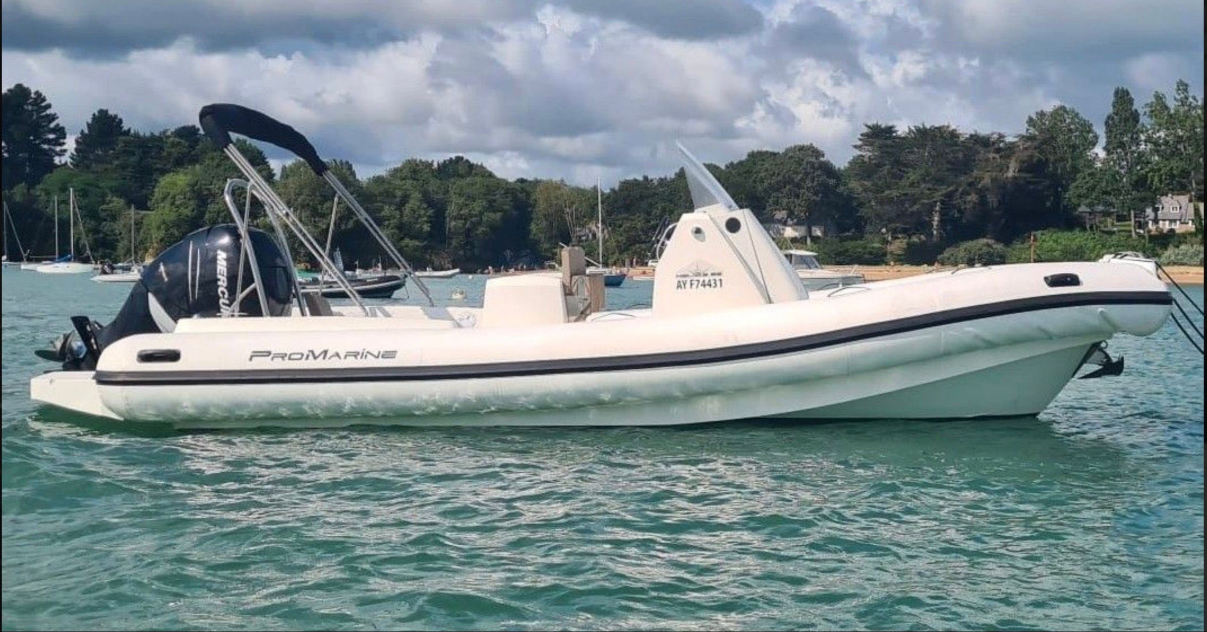 2018 Pro Marine helios 25