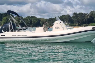 2018 Pro Marine helios 25