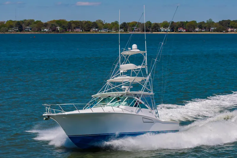 Salt Shaker Yacht Photos Pics 