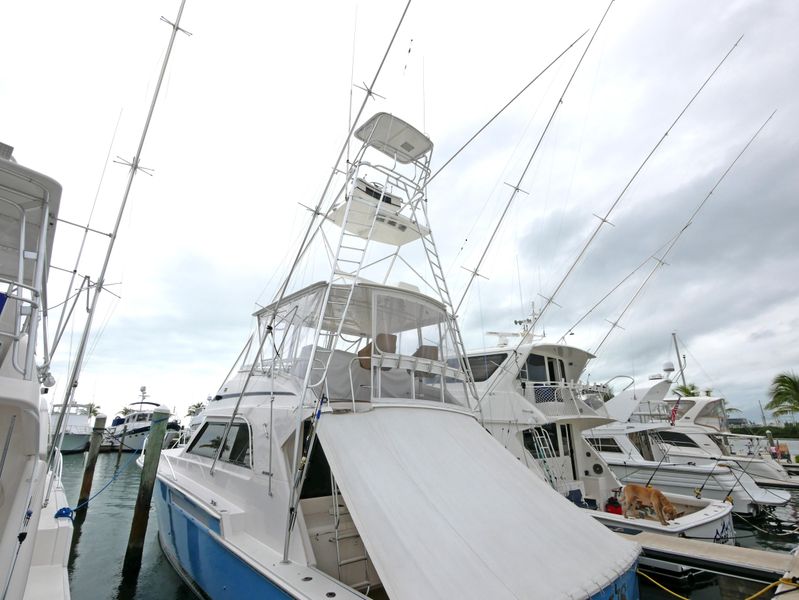 1997 Bertram 54 Convertible
