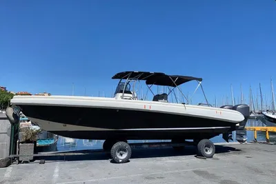Novurania Chase 31