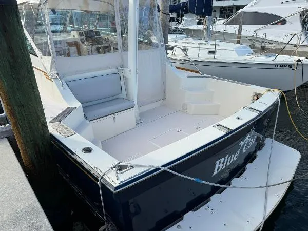 Blue Cat Yacht Photos Pics 