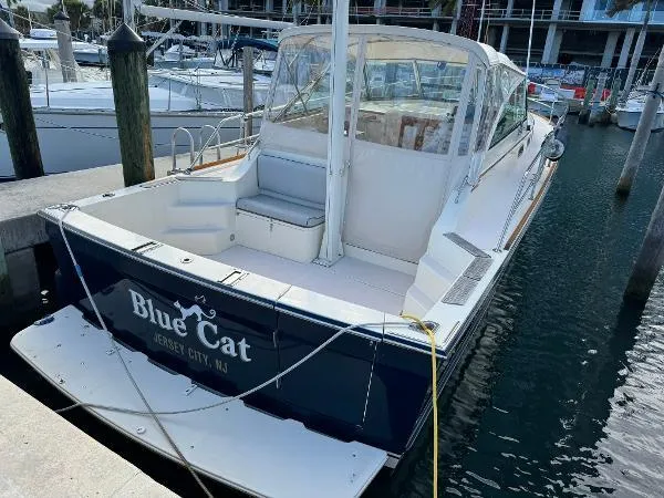 Blue Cat Yacht Photos Pics 