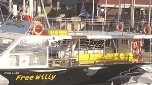 1997 Rodman Touristenboot