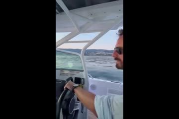 Video Placeholder
