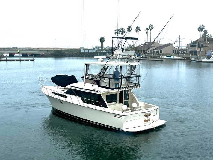 Rock And Reel Yacht Photos Pics 