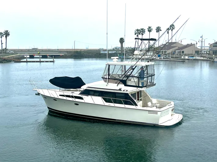 Rock And Reel Yacht Photos Pics 