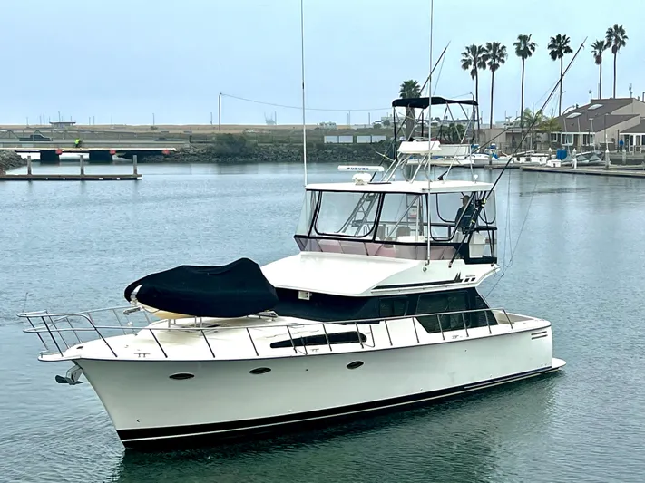 Rock And Reel Yacht Photos Pics 