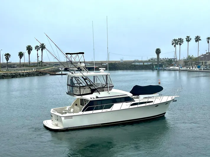 Rock And Reel Yacht Photos Pics 