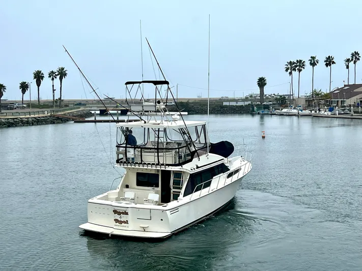 Rock And Reel Yacht Photos Pics 