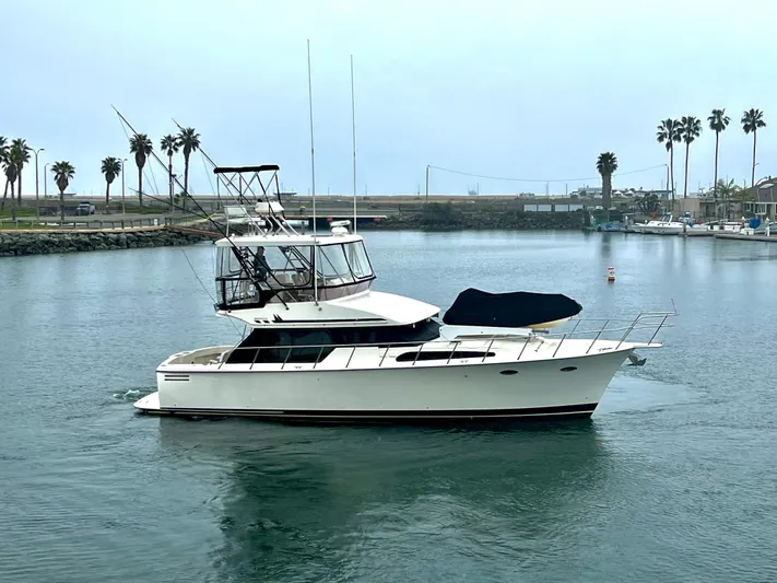 Rock And Reel Yacht Photos Pics 