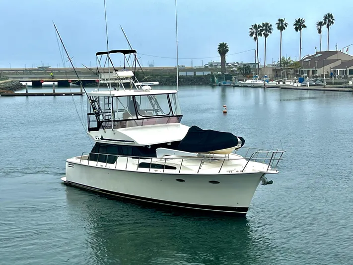 Rock And Reel Yacht Photos Pics 