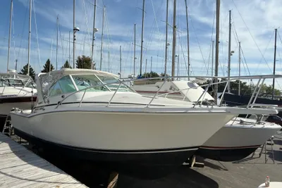 Cabo 31 Express