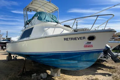 Bertram 31 Sportfisher