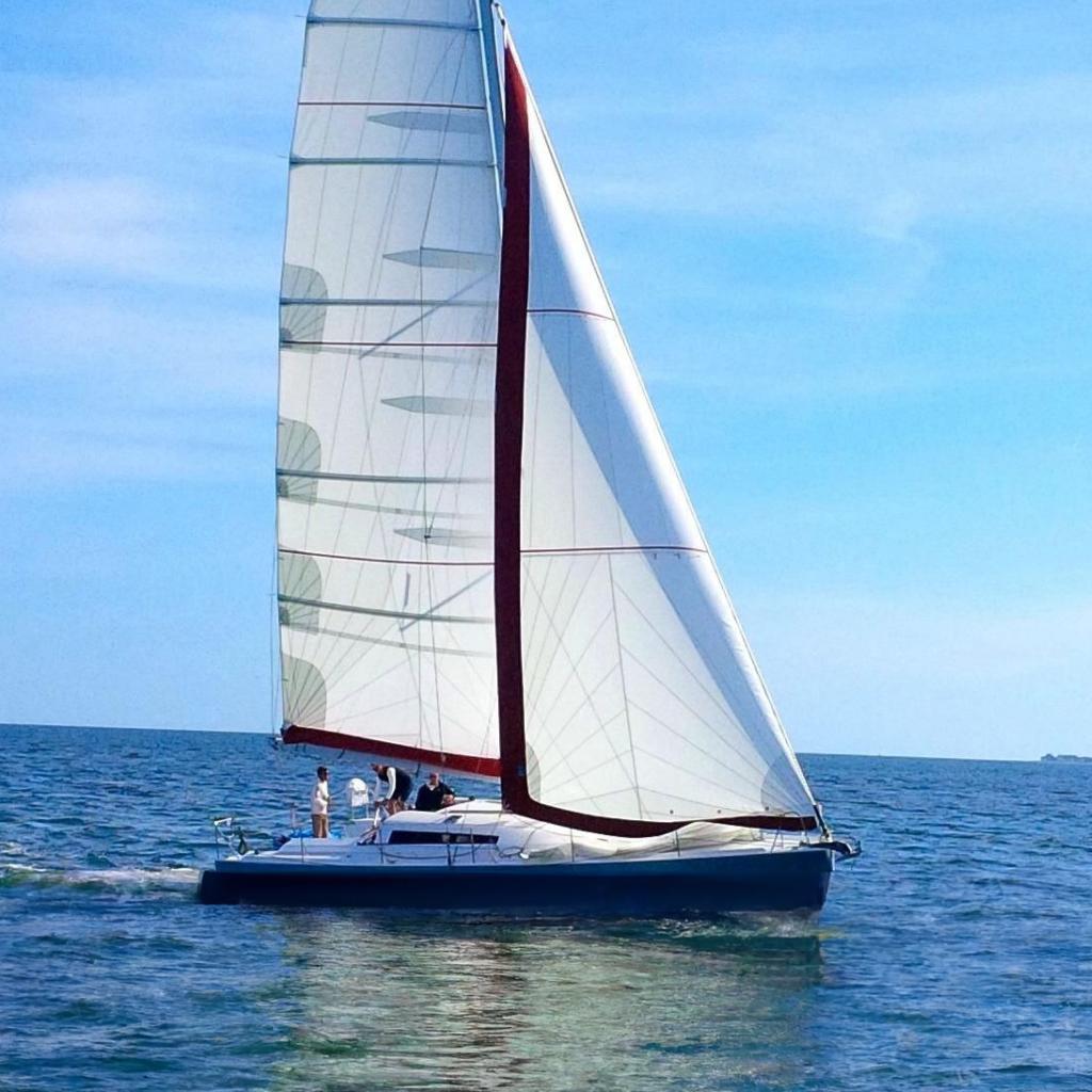 2014 Pogo Pogo 12.50