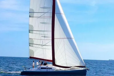 2014 Pogo Pogo 12.50