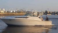 1996 Wellcraft 330 Coastal