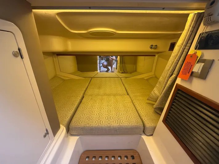 Yacht Photos Pics 2016 Grady-White Express 330 cabin interior with cozy sleeping area and ambient lighting.