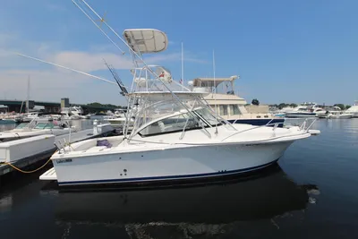 Luhrs 28 Open