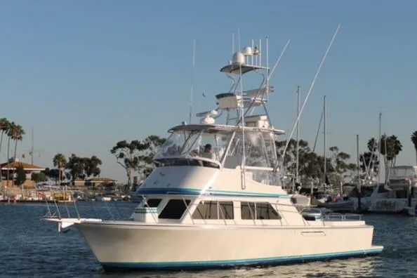  Yacht Photos Pics 1993 Radovich 34 yacht docked in a marina with clear skies.